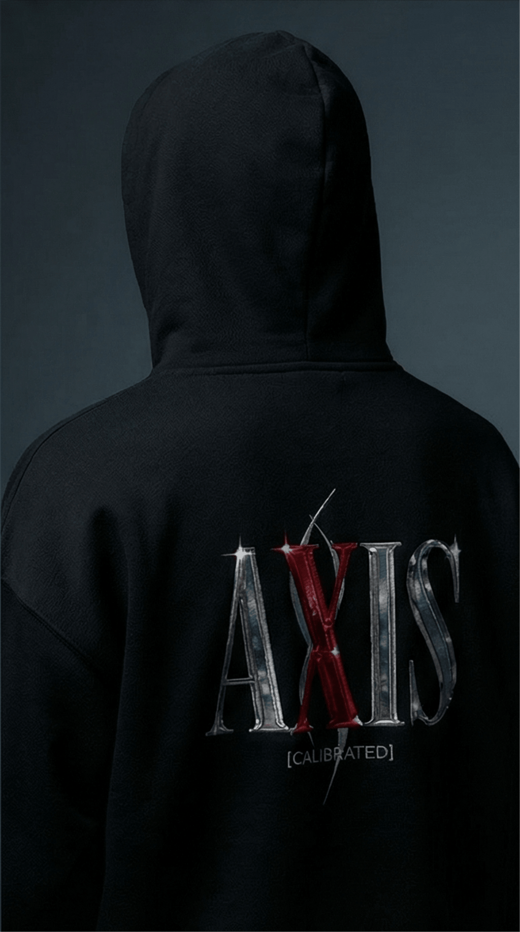 AXIS [CALIBRATED] Heavyweight Hoodie – Black - AXIS